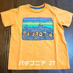 Patagonia Tシャツ .2T