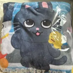 RIIZE 東京ドーム　アプグレ特典　ブランケット　非売品