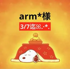 arm*様 専用ページ