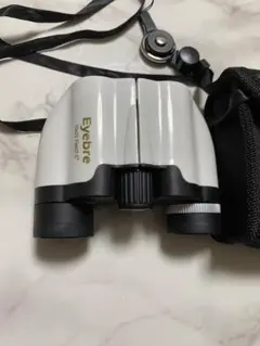 Item thumbnail for item d4454184-1f42-4815-819f-456c8b37f87f