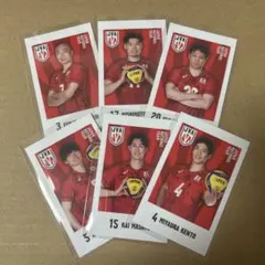 Item thumbnail for item b704377d-74ef-48df-b833-6dc1dcfd6396