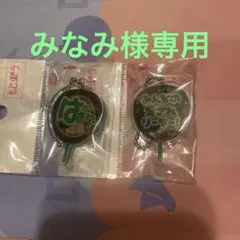 はっすん2みなみ様専用