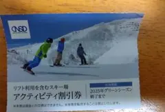 日本駐車場開発　株主優待 リフト割引券　1枚　アクティビティ割引券