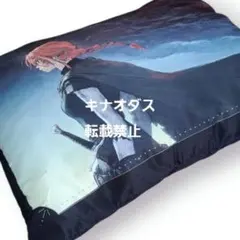 果てしなきスカーレット クッション