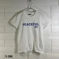 【LIPSTAR CO.LTD.】★リップスター★Tシャツ★白★(1)★綿のサムネイル