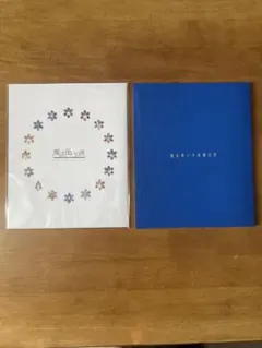 値下げしました 魔法使いの夜　公式通販　初回限定版　完品 Switch】魔法使いの夜 初回限定版 | アニプレックス | ANPX-45205 NSW