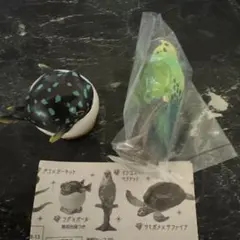 生物　宝石　セキセイインコ　フグ　2点セット