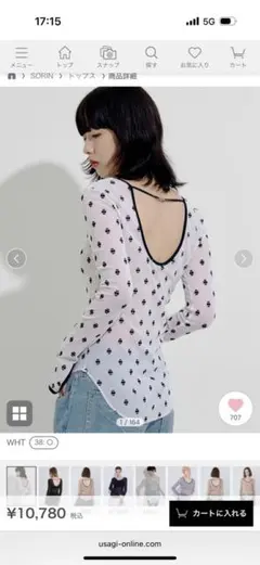 2026年最新】SORIN swan lake u-neck topの人気アイテム - メルカリ