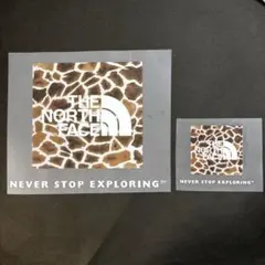 アイロンプリントシート 2枚セット