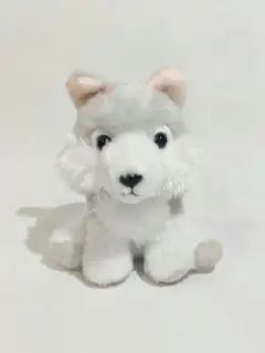 2026年最新】もふっとオオカミの人気アイテム - メルカリ