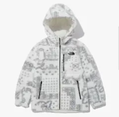 【希少】THE NORTH FACE ノースフェイス ボアフリースジャケット