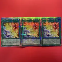 リッとん様 リクエスト 2点 まとめ商品