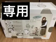 【公式】アイデス ナチュラルトライク 三輪車 足乗せステップ付き 押し棒付きのサムネイル