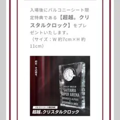 最安越谷アルファーズ非売品12/28来場者特典バスケユニフォーム 1枚　記念時計
