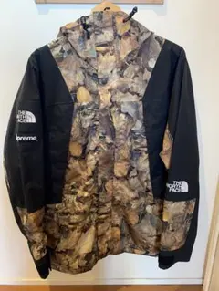 Supreme The North Face Mountain Jacket
