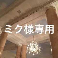 専用 ネームボード ペンライト うちわ文字 リノ チャンビン スンミン トレカ