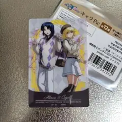 ガンダムSEED　preppy style　キャラPic　アスラン　カガリ