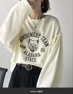 新品　クラシカルエルフ 綿100％袖フリル×ピグメントカレッジロンT 長袖　Mのサムネイル