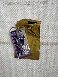 サンフレ 応援グッズ