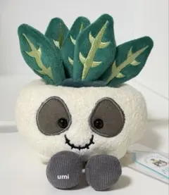 廃盤 新品 Jellycat Silly Seedling Serene 植物 - メルカリ