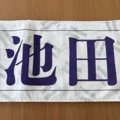 乃木坂福袋 2026 池田瑛紗個別のぼり 缶バッジ ポストカード - メルカリ