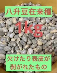 八升豆(在来種)1kg(B級品)＋厳選豆10個のサムネイル