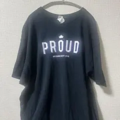GILDAN NBA サクラメント キングス プリント　Tシャツ アメカジ