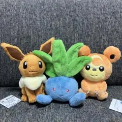 匿名配送 ポケモン やさしいきもち ぬいぐるみ ナゾノクサ イーブイ ヒメグマ