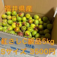 183♣️❤️青梅5kg Sサイズ　C級　紅さし