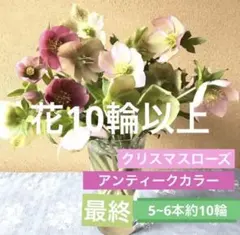 よっちー様 リクエスト 2点 まとめ商品