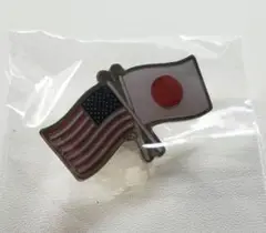 万博　アメリカ館　国旗ピンバッジ　針