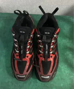 長嶋茂雄2000足限定 DESCENTE スニーカー新品 - メルカリ