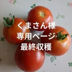 くまさん様専用ページ！