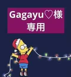 Gagayu♡様　専用
