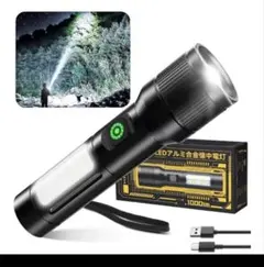 Item thumbnail for item 8485a201-846d-4aa6-bb83-0ee1d6cbb8eb