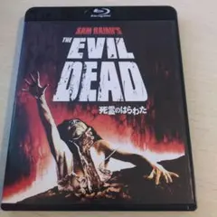 死霊のはらわた('81米)　Blu-ray版