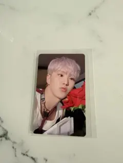 SEVENTEEN セブチ 会場限定トレカ STF 愛知 ホシ