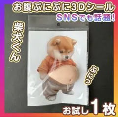 柴犬 おなか ぷにぷにシール 1枚 ぷっくり スクイーズ 立体ステッカー 韓国