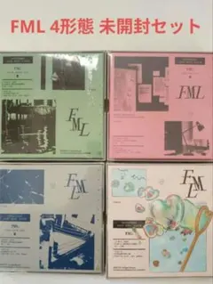 未開封 FML 4形態セット seventeen