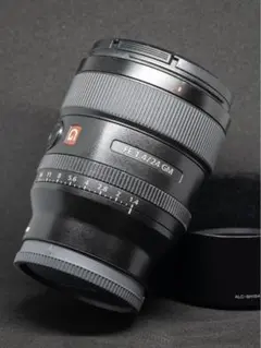2025年最新】24mm f1.4 gmの人気アイテム - メルカリ