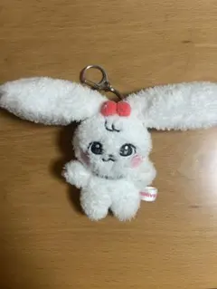 2026年最新】IVE minive チェリーの人気アイテム - メルカリ