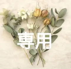 専用ミニサイズドライフラワ小箱No.２５４　アンティークフランネルフラワ＆ニゲラ