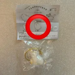 犬のけだまだま　うちの子のけだまだま　柴犬