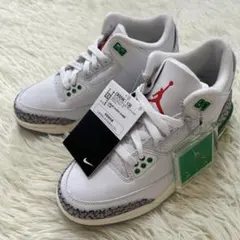 【未使用・タグ付】エア ジョーダン 3 レトロ ラッキー グリーン