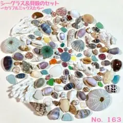 シーグラス＆貝殻のセット　No.163