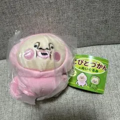 こびとづかん ぬいぐるみ ガチャガチャ カクレモモジリ