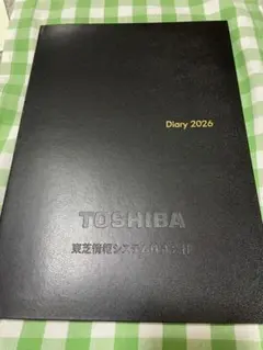 Item thumbnail for item 840a4f8b-805b-438e-bbc2-2b370d12c68e