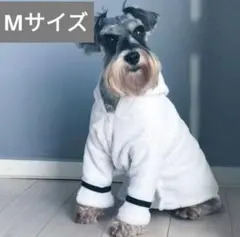 Item thumbnail for item 446ce604-8379-45d8-8ff9-d2956b67a5d8