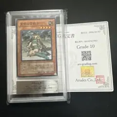 2026年最新】ars鑑定10の人気アイテム - メルカリ