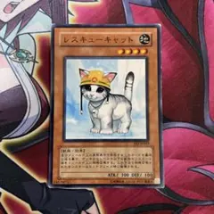 遊戯王 レスキューキャット 英語版 TU03 スーパー 遊戯王 レスキューキャット 英語版 TU03 スーパー - メルカリ